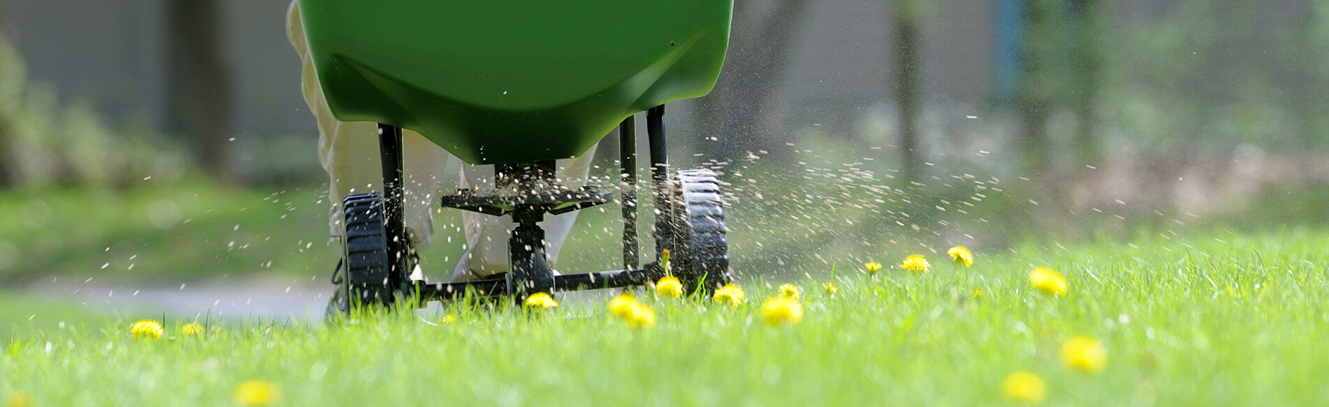 lorem ipsum dolor sit