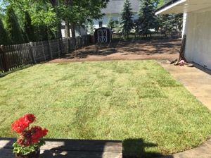 Landscape project photo