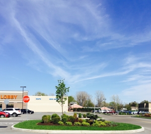 Landscape project photo