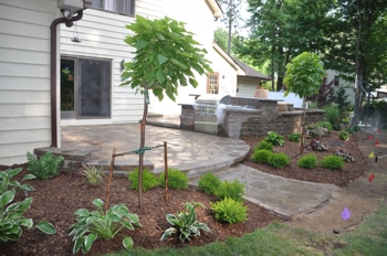 Landscape project photo