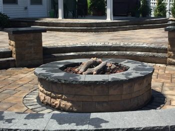 Pruned shrubs Williamsville NY