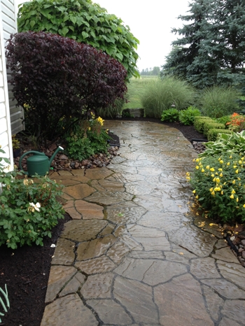 Mid-season landscape maintenance